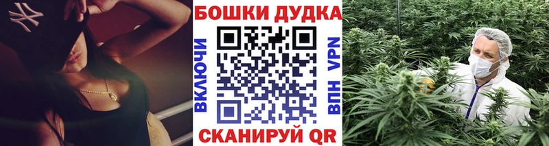 Наркошоп купить ГАШИШ  Канабис  APVP  МЕФ  Бабаево