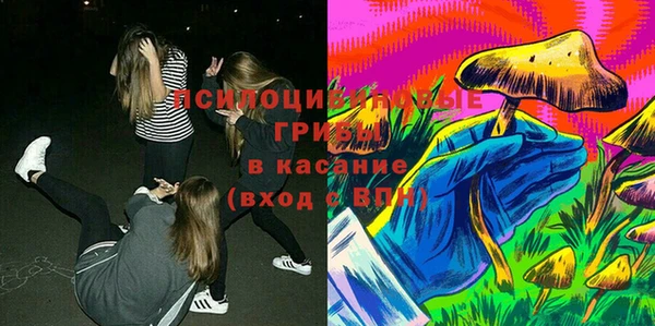 PSILOCYBIN Корсаков