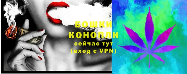 PSILOCYBIN Корсаков