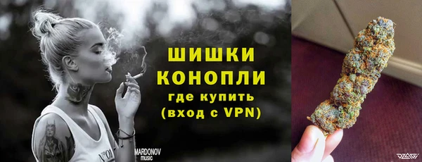 PSILOCYBIN Корсаков