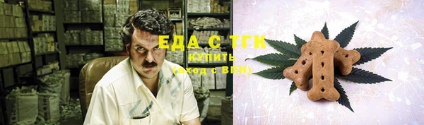 PSILOCYBIN Корсаков