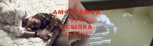 PSILOCYBIN Корсаков