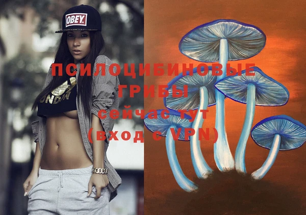 a pvp Коряжма