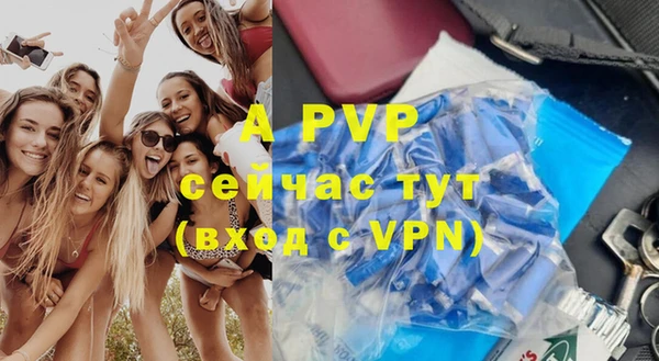 a pvp Коряжма
