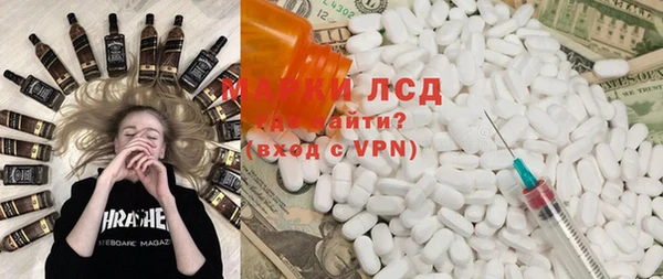 PSILOCYBIN Корсаков