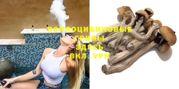 PSILOCYBIN Корсаков