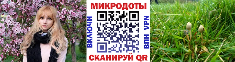 Псилоцибиновые грибы Psilocybine cubensis  Купить где  Бабаево 